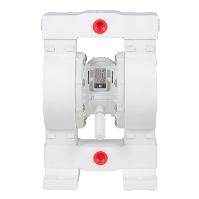 RV PTFE Diaphragmenpumpe 36lpm Max-Fluss 100psi Druck