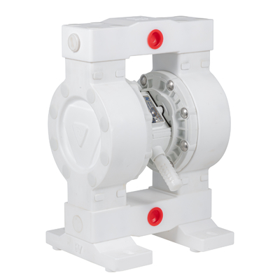 RV PTFE Diaphragmenpumpe 36lpm Max-Fluss 100psi Druck