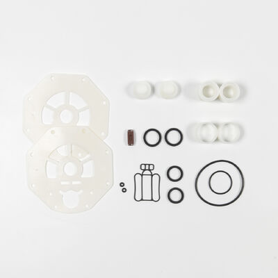 120 psi max. Druck 270 gpm max. Durchfluss PTFE-Membran AODD-Pumpe für Abwasserbehandlung und Bewässerung